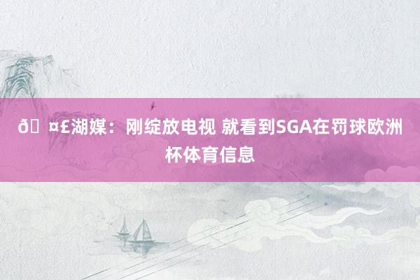 🤣湖媒：刚绽放电视 就看到SGA在罚球欧洲杯体育信息
