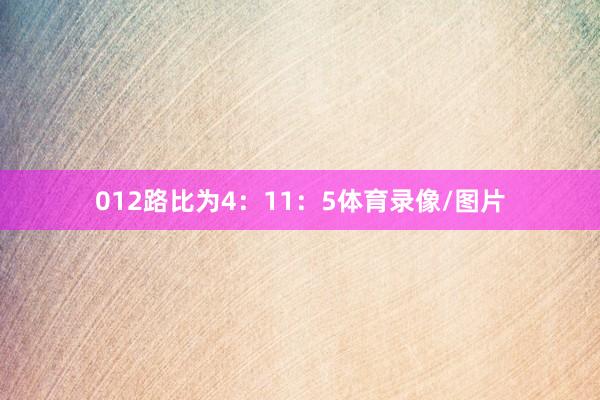 012路比为4:11:5体育录像/图片