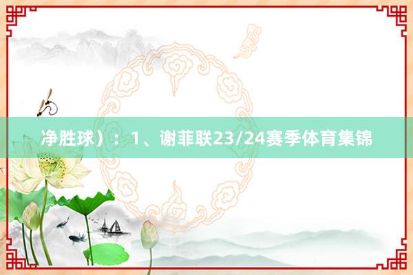净胜球）：1、谢菲联23/24赛季体育集锦