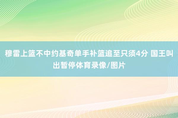 穆雷上篮不中约基奇单手补篮追至只须4分 国王叫出暂停体育录像/图片