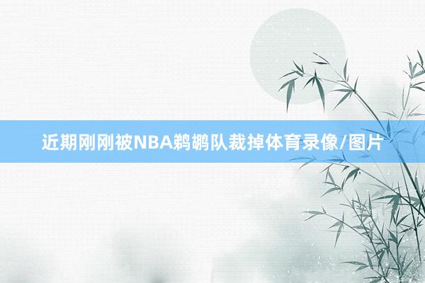 近期刚刚被NBA鹈鹕队裁掉体育录像/图片