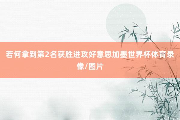 若何拿到第2名获胜进攻好意思加墨世界杯体育录像/图片