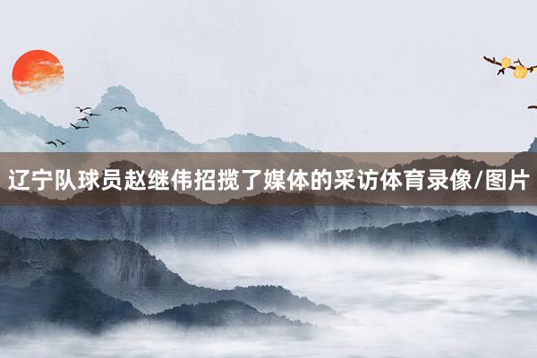 辽宁队球员赵继伟招揽了媒体的采访体育录像/图片