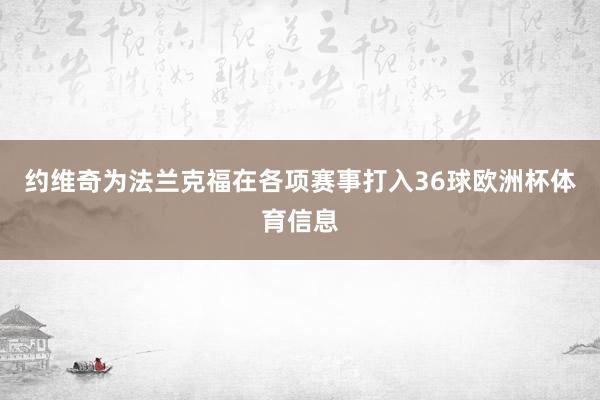 约维奇为法兰克福在各项赛事打入36球欧洲杯体育信息