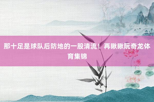 那十足是球队后防地的一股清流！再瞅瞅阮奇龙体育集锦