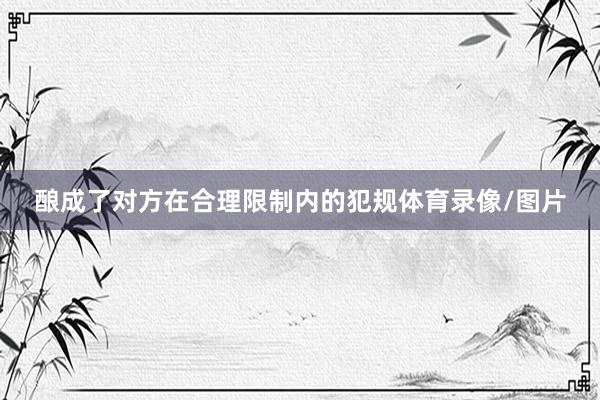 酿成了对方在合理限制内的犯规体育录像/图片