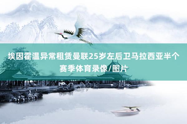 埃因霍温异常租赁曼联25岁左后卫马拉西亚半个赛季体育录像/图片