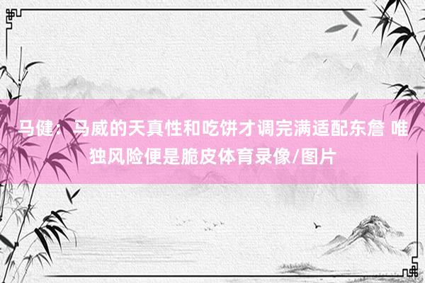 马健：马威的天真性和吃饼才调完满适配东詹 唯独风险便是脆皮体育录像/图片