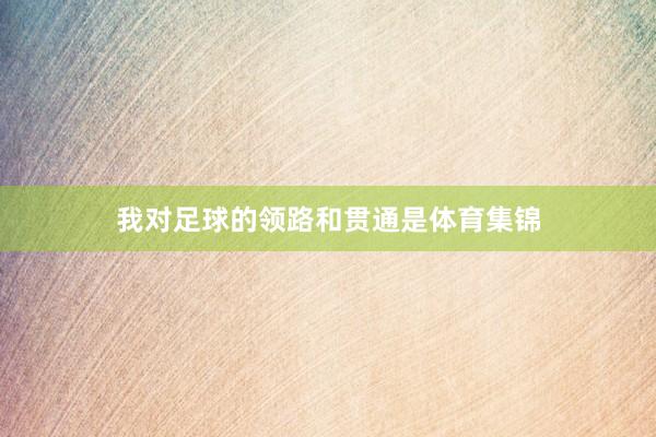 我对足球的领路和贯通是体育集锦