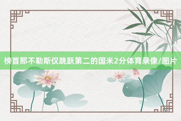 榜首那不勒斯仅跳跃第二的国米2分体育录像/图片