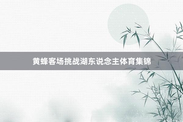 黄蜂客场挑战湖东说念主体育集锦