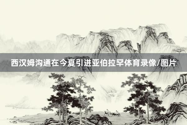 西汉姆沟通在今夏引进亚伯拉罕体育录像/图片