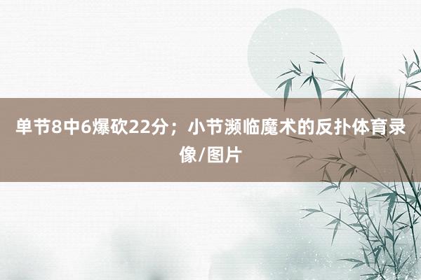 单节8中6爆砍22分；小节濒临魔术的反扑体育录像/图片
