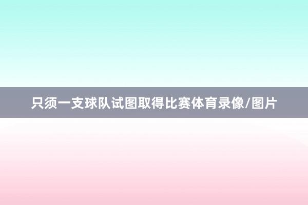 只须一支球队试图取得比赛体育录像/图片