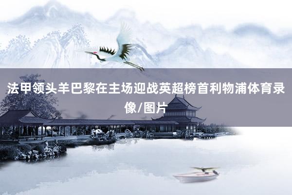 法甲领头羊巴黎在主场迎战英超榜首利物浦体育录像/图片