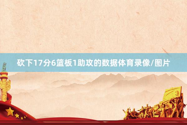 砍下17分6篮板1助攻的数据体育录像/图片