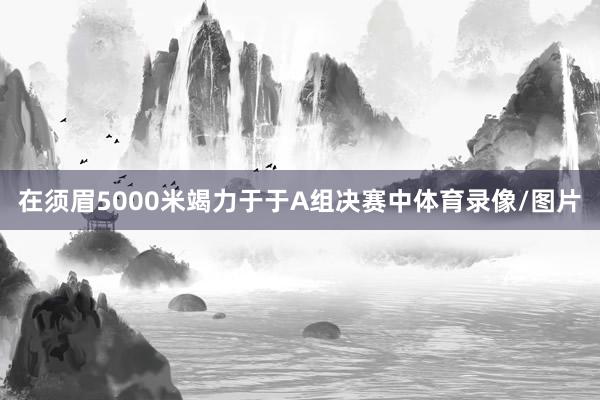 在须眉5000米竭力于于A组决赛中体育录像/图片