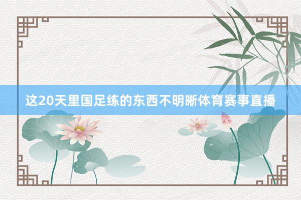 这20天里国足练的东西不明晰体育赛事直播