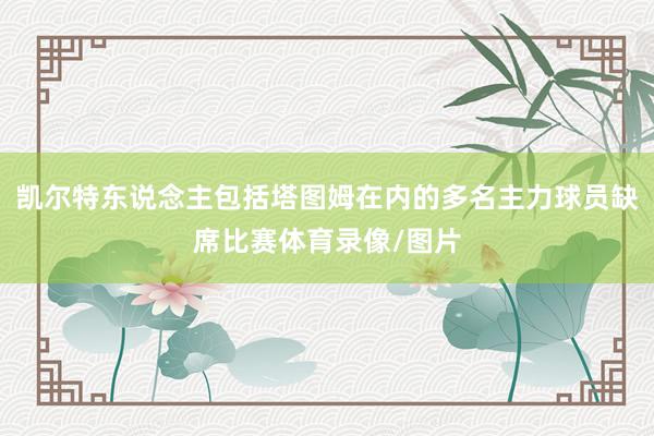 凯尔特东说念主包括塔图姆在内的多名主力球员缺席比赛体育录像/图片
