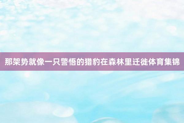 那架势就像一只警悟的猎豹在森林里迁徙体育集锦