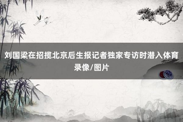 刘国梁在招揽北京后生报记者独家专访时潜入体育录像/图片