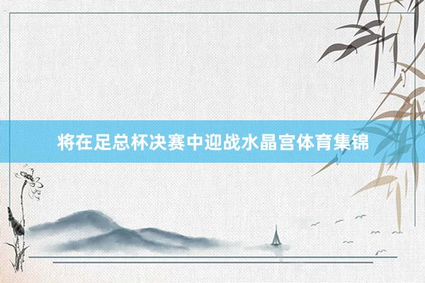 将在足总杯决赛中迎战水晶宫体育集锦