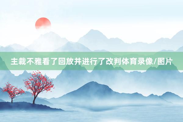 主裁不雅看了回放并进行了改判体育录像/图片