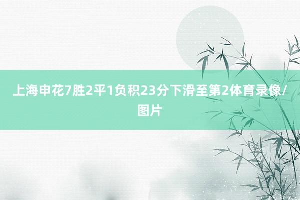 上海申花7胜2平1负积23分下滑至第2体育录像/图片