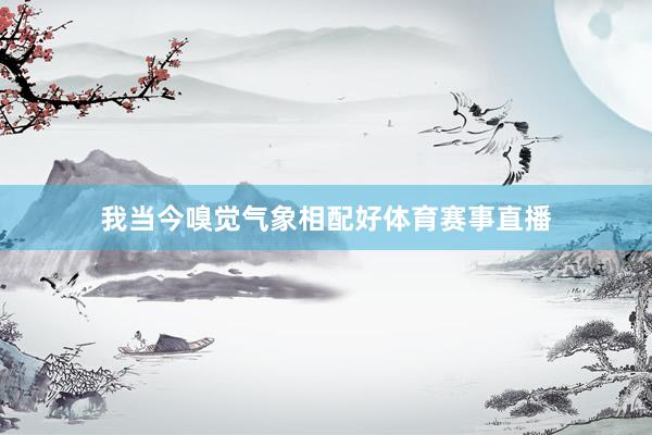 我当今嗅觉气象相配好体育赛事直播