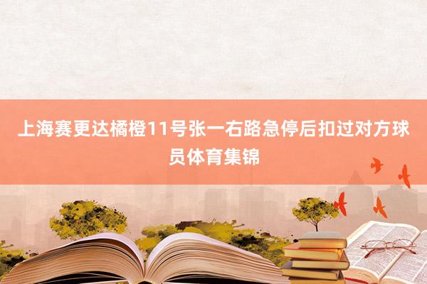 上海赛更达橘橙11号张一右路急停后扣过对方球员体育集锦