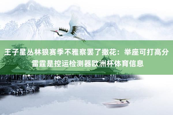 王子星丛林狼赛季不雅察罢了撒花：举座可打高分 雷霆是控运检测器欧洲杯体育信息