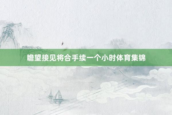 瞻望接见将合手续一个小时体育集锦