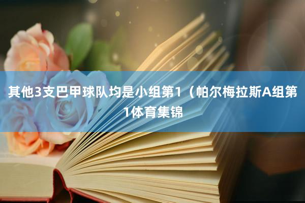 其他3支巴甲球队均是小组第1（帕尔梅拉斯A组第1体育集锦