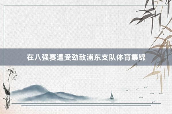 在八强赛遭受劲敌浦东支队体育集锦