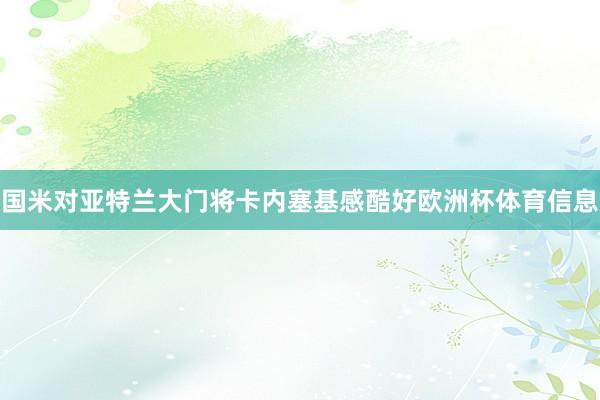 国米对亚特兰大门将卡内塞基感酷好欧洲杯体育信息