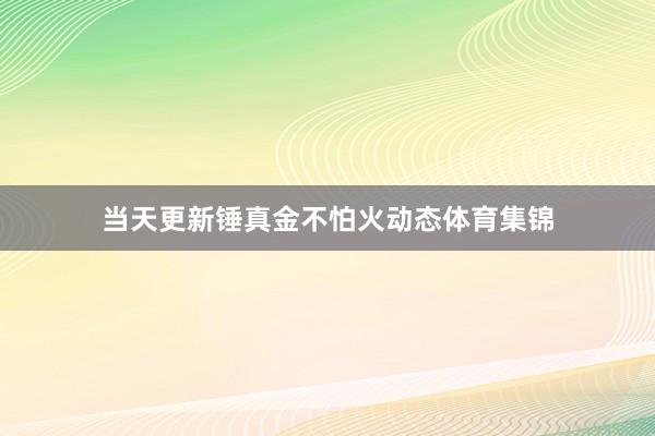 当天更新锤真金不怕火动态体育集锦