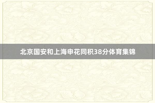 北京国安和上海申花同积38分体育集锦