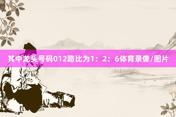 其中龙头号码012路比为1：2：6体育录像/图片