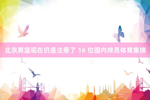 北京男篮现在仍是注册了 16 位国内球员体育集锦