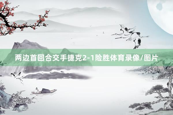 两边首回合交手捷克2-1险胜体育录像/图片