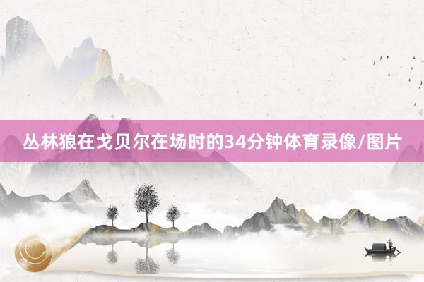 丛林狼在戈贝尔在场时的34分钟体育录像/图片
