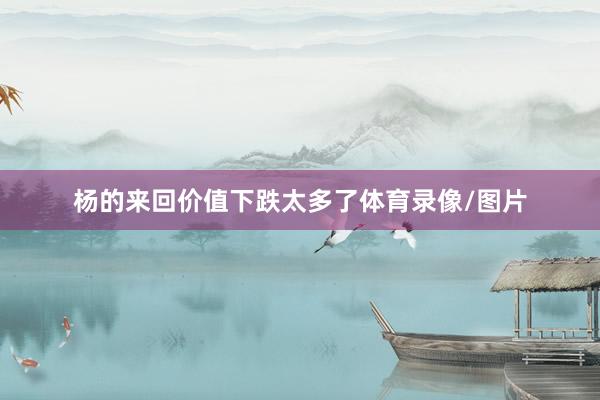 杨的来回价值下跌太多了体育录像/图片