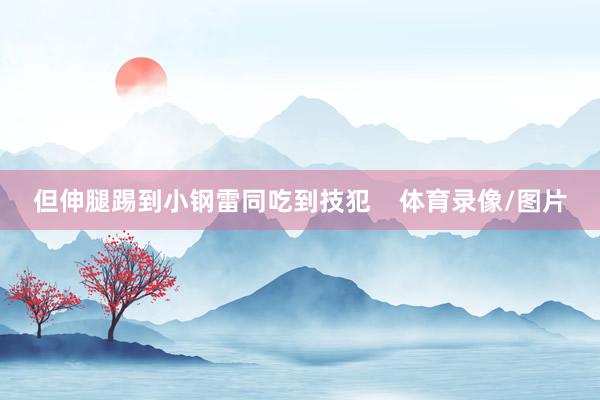 但伸腿踢到小钢雷同吃到技犯    体育录像/图片