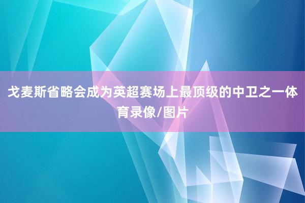 戈麦斯省略会成为英超赛场上最顶级的中卫之一体育录像/图片