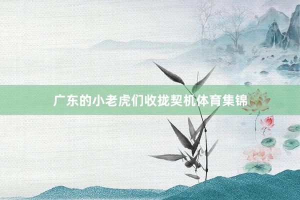 广东的小老虎们收拢契机体育集锦