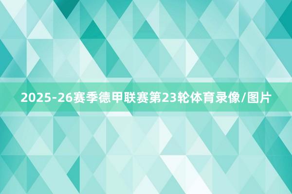 2025-26赛季德甲联赛第23轮体育录像/图片