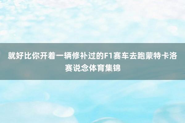 就好比你开着一辆修补过的F1赛车去跑蒙特卡洛赛说念体育集锦