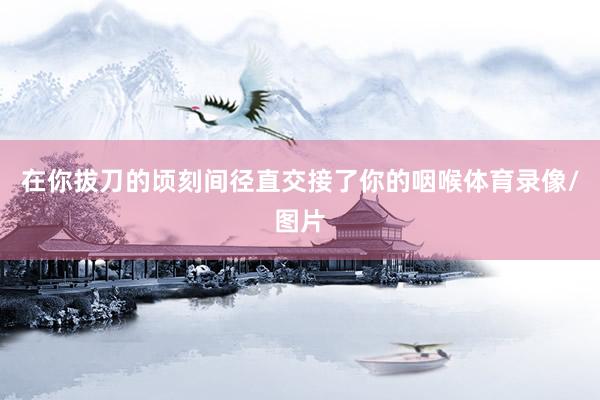 在你拔刀的顷刻间径直交接了你的咽喉体育录像/图片