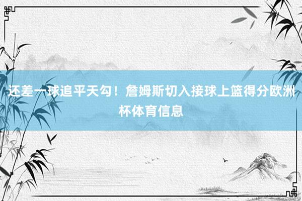 还差一球追平天勾！詹姆斯切入接球上篮得分欧洲杯体育信息