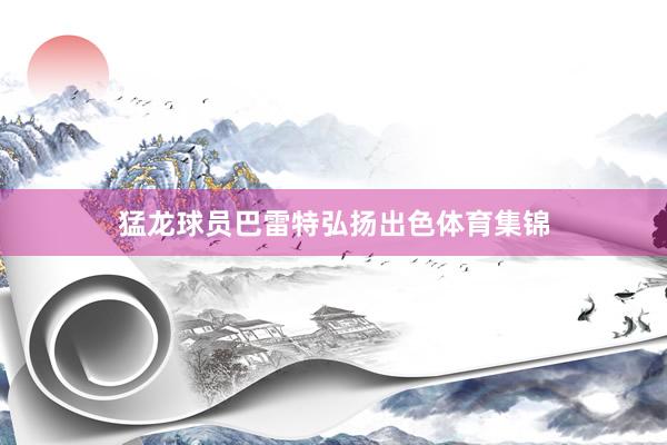 猛龙球员巴雷特弘扬出色体育集锦